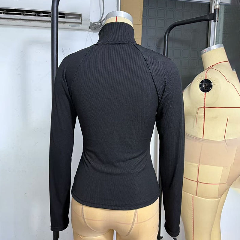Solid Ribbed Half-Zip Turtleneck Knit Top