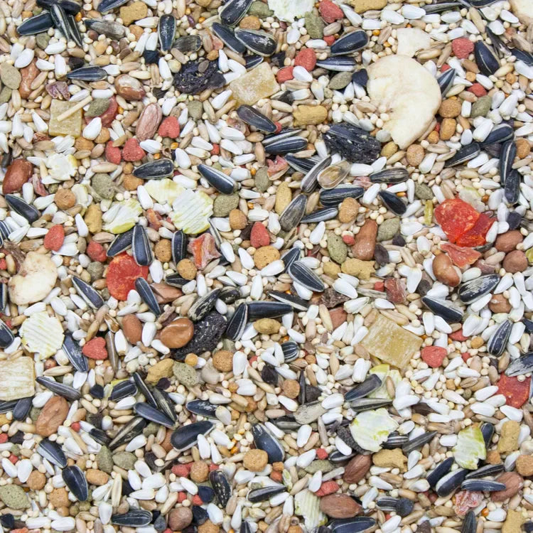 Higgins Vita Seed Conure & Lovebird Food 2.5 lb Premium Seed Blend Probiotics DHA