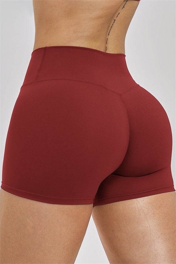 The Seraphine Layered V Sports Bra Shorts 2-Piece Set