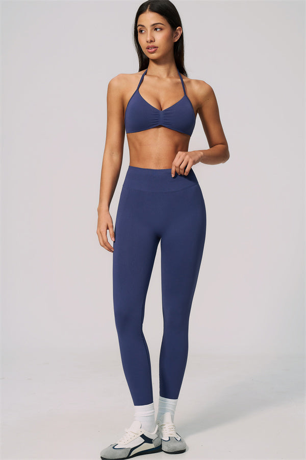 The Velvetine Sports Bra Leggings 2-Piece Set