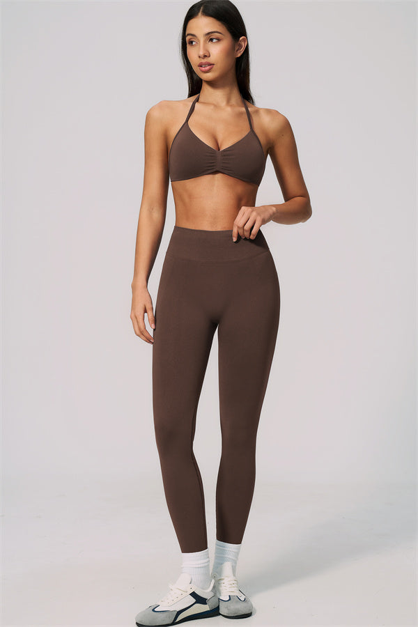 The Velvetine Sports Bra Leggings 2-Piece Set