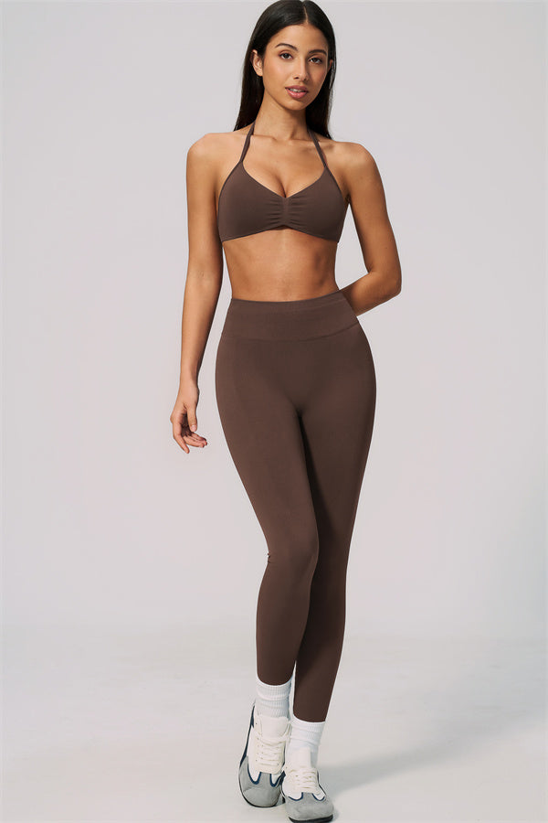 The Velvetine Sports Bra Leggings 2-Piece Set