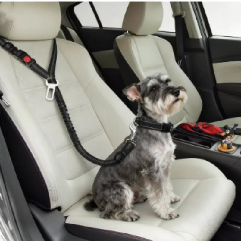 Reflective Pet Dog Car Seat Belt Puppy Collar Walking Travel Car Accessories Cat Leash Harness for Small Dogs Pet Car Supplies