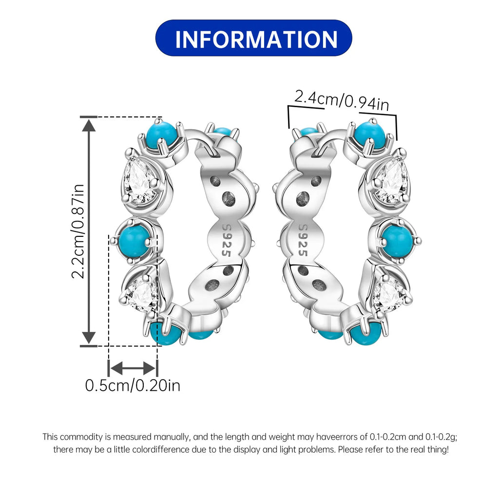 PANPOKI S925 Sterling Silver Purple Zircon Series Earrings Hoop Earrings For Women Jewelry Original Party Trendy Gifts