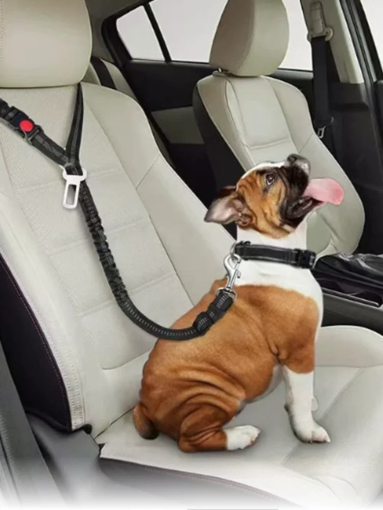 Reflective Pet Dog Car Seat Belt Puppy Collar Walking Travel Car Accessories Cat Leash Harness for Small Dogs Pet Car Supplies