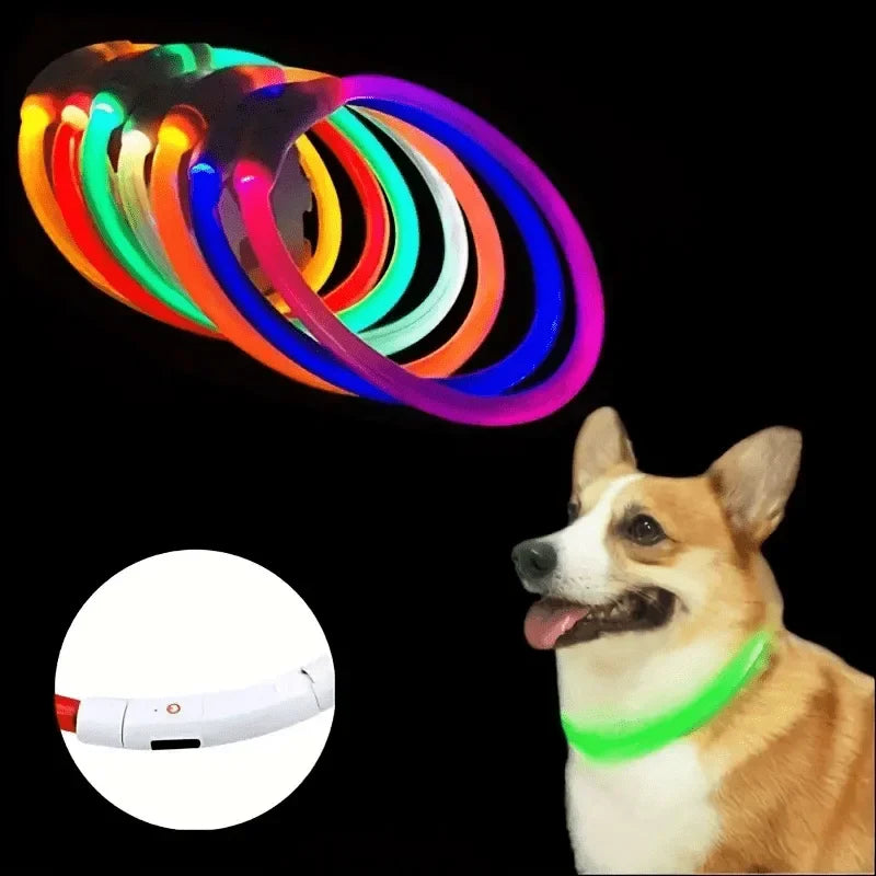 Pet Dog LED Light Collar Luminous Anti-Lost Dog Collar USB Rechargeable Dog Necklace Collar